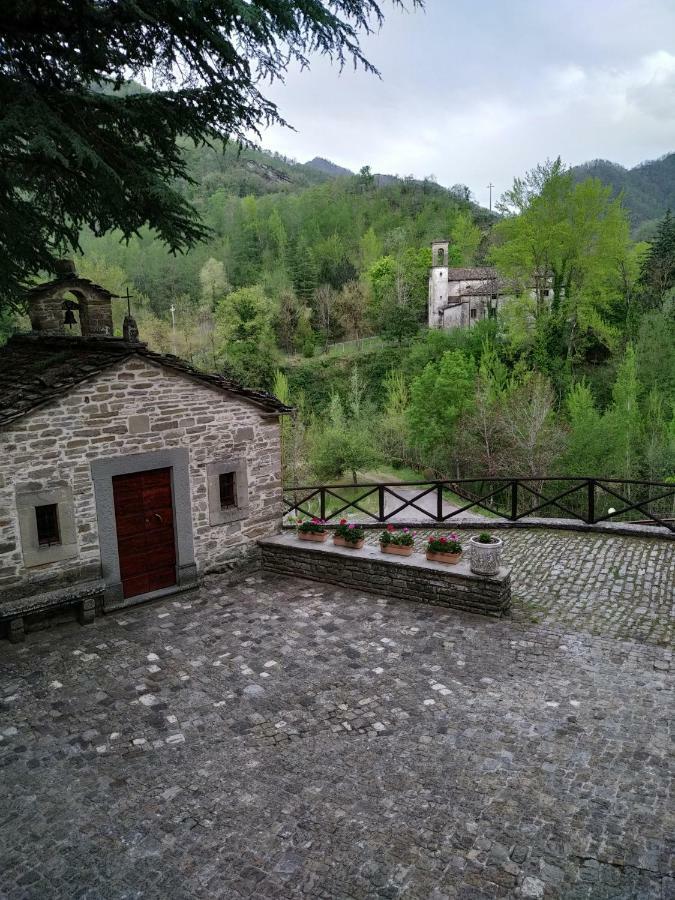 מלון בניו די רומניה Il Palazzo Ridracoli מראה חיצוני תמונה